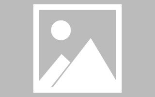黔南新区景区网站建设（in art criticism,you must assume）